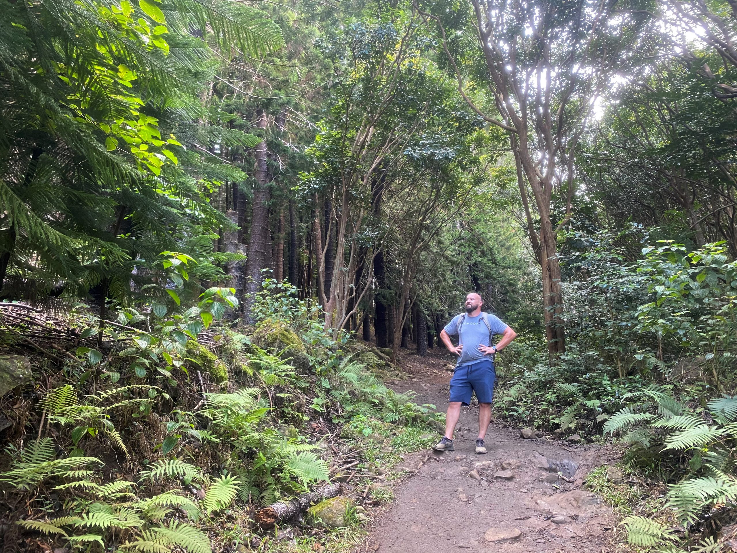 Maui hike - Waihee Ridge Trail