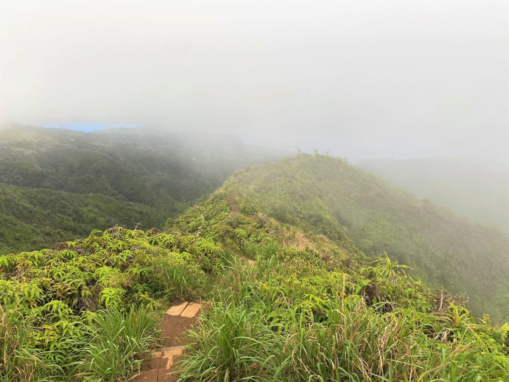 Maui Hike - Waihee Ridge Trail