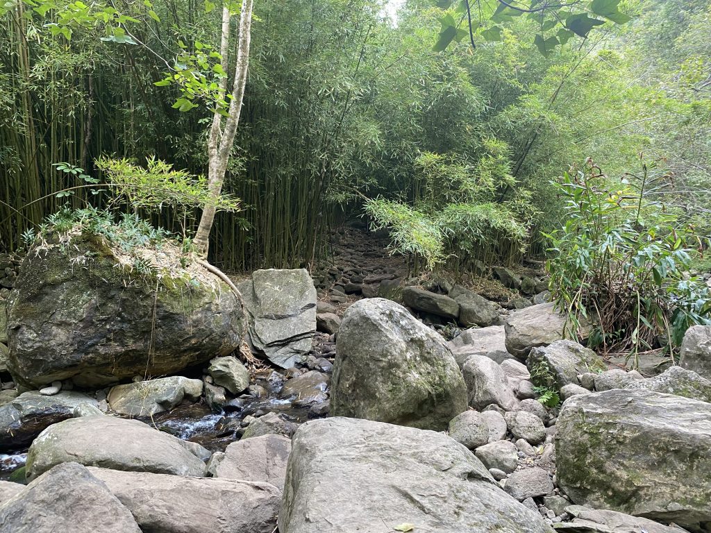 Maui Hike - 13 Crossings